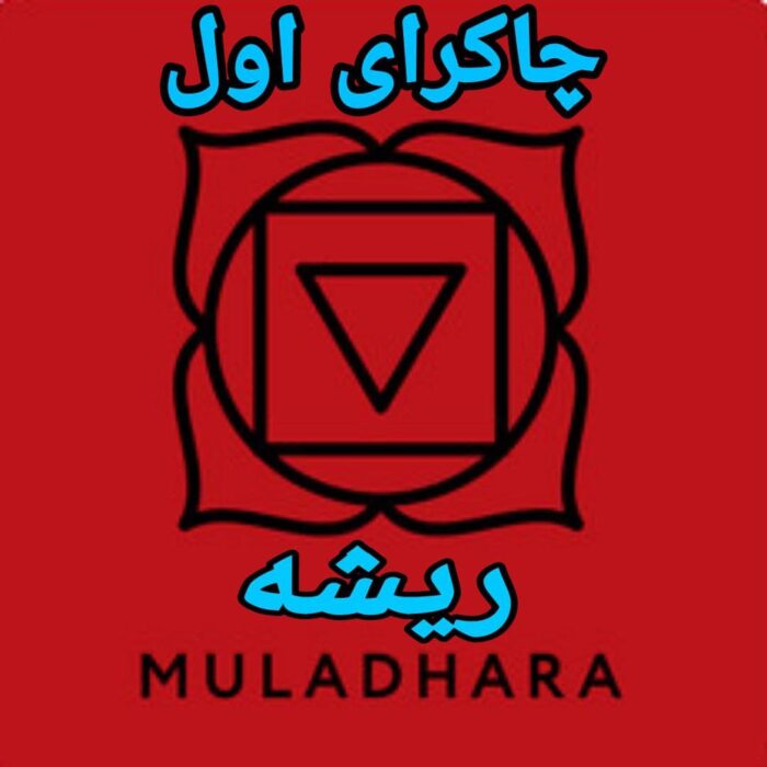 دانلود آموزش کامل چاکرای اول